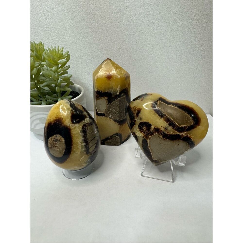 Septarian Jasper Bundle